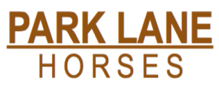 Park Lane Horses